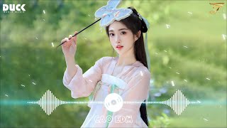 Những Lời Dối Gian Nhạc Hoa Lời việt Remix  Hồng Trần Tình Ca Remix  Nhạc Remix Tiktok 2023 [upl. by Zane16]