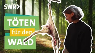 Jagd auf Rehe Hirsche und Wildschweine  nachhaltiges Fleisch gesundes Ökosystem I Ökochecker SWR [upl. by Khalsa584]