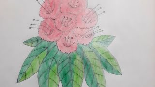 draw rhododendron in easy method [upl. by Scevor258]