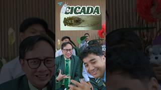 How To Pronounce CICADA [upl. by Neimad]