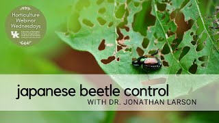 Japanese Beetle Control [upl. by Ettegroeg]