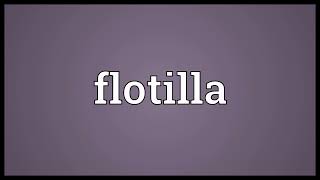 Flotilla meaning [upl. by Lavinie987]