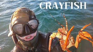 EPIC CRAYFISH ADVENTURE  Port elizabeth South Africa [upl. by Anon9]