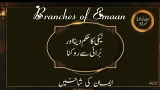 Branches of Emaan Quranic Gems  Juz 26 DQ24  Nurulquran [upl. by Elleina]