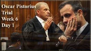 Oscar Pistorius Trial Monday 14 April 2014 Session 1 [upl. by On]