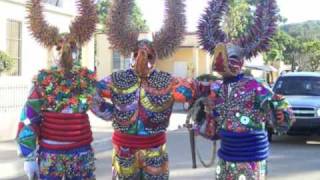 Carnaval Santiago 2010 quotGrupo de Lechones Los Joyerosquot [upl. by Verada]