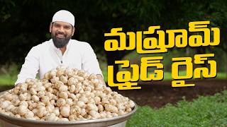 మష్రూమ్ ఫ్రైడ్ రైస్  Butter Mushroom Fried Rice  Veg Fried Rice Recipes  Nawabs Kitchen Telugu [upl. by Stolzer]