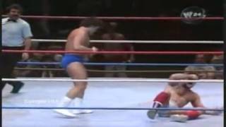 Lanny Poffo PUNCH in Madison Square Garden [upl. by Inele348]