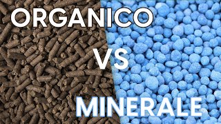 Concime organico vs concime minerale quale scegliere [upl. by Ann223]