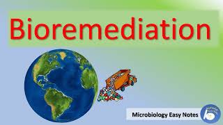 Bioremediation principle methods techniques advantages and disadvantages [upl. by Grazia186]