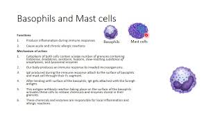 7 Eosinophils and basophils [upl. by Nitram]