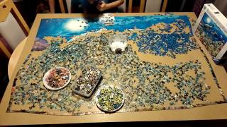 Ravensburger puzzle 5000  Leben im Korallenriff  Time lapse [upl. by Iives]