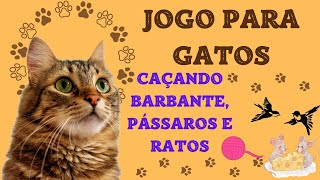 Jogo para GATOS  Caçado Barbante Pássaros e Ratos [upl. by Haeluj]