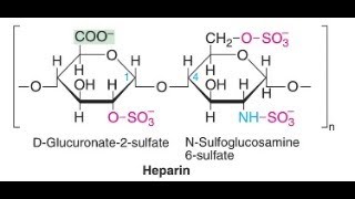 Heparin blood anticoagulant Blood Thinner made from Dog Liver [upl. by Yusem680]