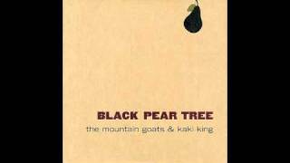 Black Pear Tree  The Mountain Goats and Kaki King [upl. by Aelc]