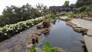 Beautiful koi pond of Eden Prairie mn SD 480p [upl. by Ardien]