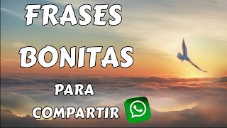 Frases bonitas para estados de WhatsApp [upl. by Nol]