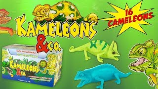 KAMELEONS amp CO Boite Complète de 16 Caméléons Pochettes Surprise Altaya Jouet Toy Review Juguetes [upl. by Wina]