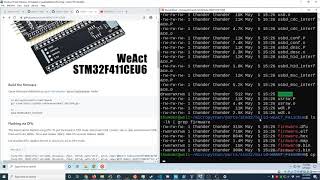 MicroPython on STM32F411 Black Pill  Build and Flash  Install [upl. by Eixel94]