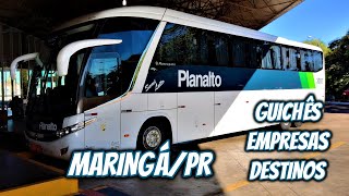 RODOVIÁRIA DE MARINGÁPR  GUICHÊS EMPRESAS E DESTINOS  MOVIMENTAÇÃO DE ÔNIBUS [upl. by Lyssa]