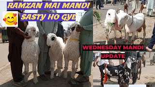 WEDNESDAY UPDATE 2024 RAMZAN MAI MANDI DOWN MUNDRE CHATREDESI CHATRE BAKRE BAKRA EID LAHORE MANDI [upl. by Eelyma]