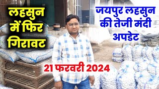 lahsun ka bhav  today Garlic rate  लहसून की रिपोर्ट  लहसून भाव जयपुर मंडी [upl. by Ahtelat60]