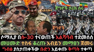 ሶማሊያ በጄቶች ተናወጠች  መሀሙድ በግብፅ ተስፋ ቆረጡ  አልሻባብ በአየር ሀይል ተደመሰሰ  Ethio Media  Ethiopian News [upl. by Suiradel684]