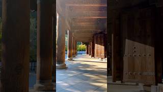 Early fall in Kyoto Nanzenji temple autumn garden temple travel japan kyoto [upl. by Radburn]