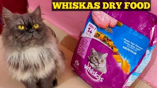 Cat Review WHISKAS Cat Food  Dry Cat Food Food For Persian Cats [upl. by Oiluig]