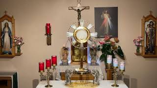 LIVE Eucharistic Adoration  Sisters of Divine Mercy [upl. by Notneiuq542]