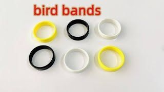 bird ring  2024 bird bands  pigeon rings [upl. by Shererd]