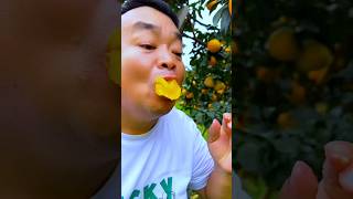 Some sour fruits of the worldpart 12🍉🍊🍍🍎 shorts trending reels fruits nature [upl. by Wolsky847]