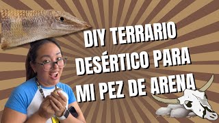 SKINK PEZ DE ARENA⁉️🤨  CUIDADOS BÁSICOS 🦎 y DIY Terrario DESÉRTICO en un tupper 🤯 [upl. by Alel68]