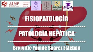 Patología Hepática  Fisiopatología  Briggitte Suarez  2610 [upl. by Rehctaht]