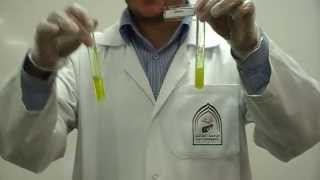 Picric Acids test Part 2 to differentiate between Gelatin amp peptone [upl. by Leilani]