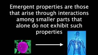 11 Emergent Properties [upl. by Halfdan558]