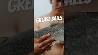 lakesuperior sleepinggiant grease laketrout [upl. by Namlas]