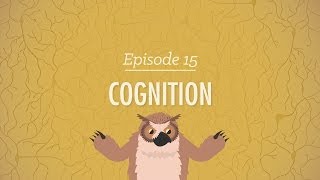 Cognition  How Your Mind Can Amaze and Betray You Crash Course Psychology 15 [upl. by Assirem]