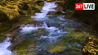 Relaxing Nature Sound Mountain River Flowing Soft gurgling water Relaxation for Sleeping [upl. by Amaras]