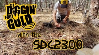 Shallow Workings with the SDC2300  Aussie Gold Prospecting [upl. by Oicelem]