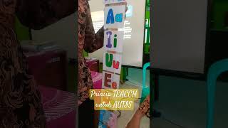 PRINSIP TEACCH Autis [upl. by Aowda282]