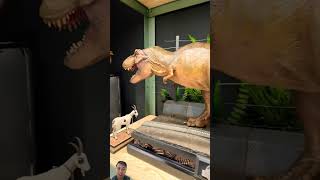 Triceratops vs Tyranosaurus jurassicpark jurassicworld dinosaur dinosaurs [upl. by Mandell]