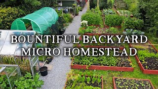 Amazing Permaculture Raised Bed Vegetable Garden  Combining No Dig Gardening with Poultry [upl. by Ingemar192]