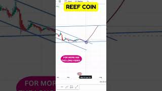 REEF Coin Can It Hit New Highs 2024 Price Prediction Explained [upl. by Minny]