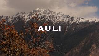 Nainital To Auli Road Trip Gorson Valley Trek in summers  Uttarakhand [upl. by Akelam]