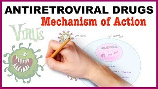 Antiretroviral Drugs Pharmacology  Mechanism of Action [upl. by Notslar284]