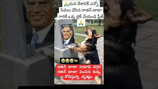 Miss you Ratan Tata sirdog Emotional viral short [upl. by Nnewg]