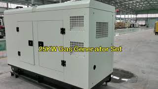 25kw Gas generator setscng Lpg biogasnatural [upl. by Ameluz]