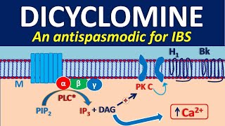 Dicyclomine as antispasmodic [upl. by Strawn851]