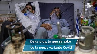 Delta plus lo que se sabe de la nueva variante de Covid19 detectada ya en 10 países [upl. by Charla]